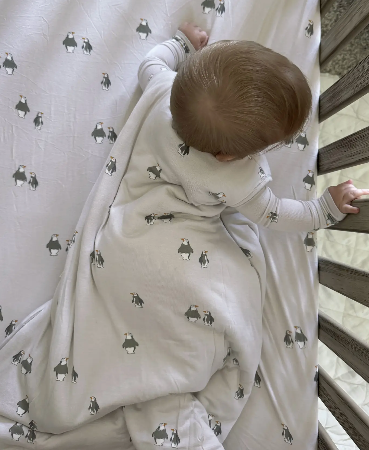 Sleep Bag 1.0 Tog