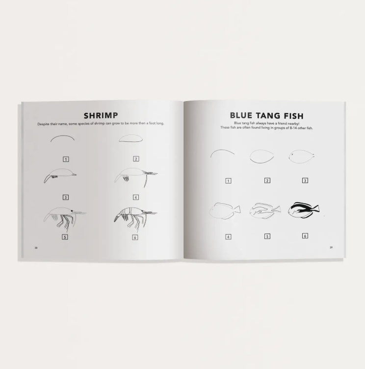 Under the Sea: A How To Draw Art Book For Kids Mini