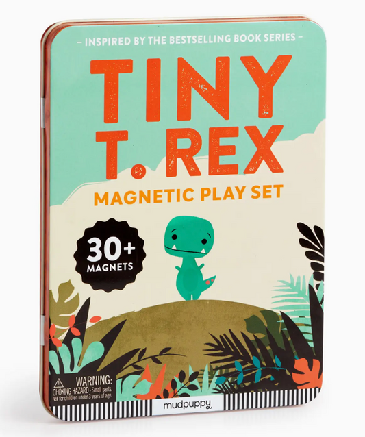 Tiny T.Rex Magnetic Play Set