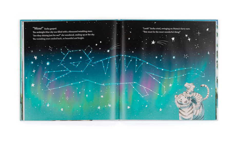 Sacha and the Most Wonderful Thing Book