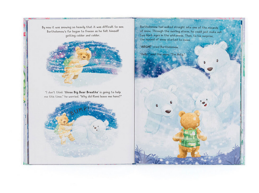 Bartholomew Bear and the Snow Giants Book