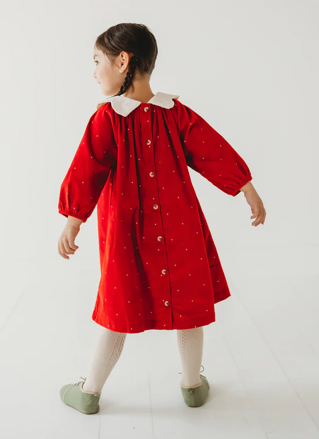 Christmas Carol Red Holiday Dress