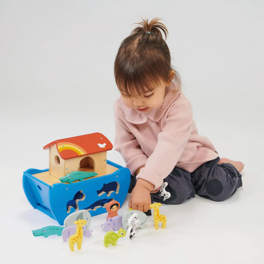 Shape Sorting Noah's Ark