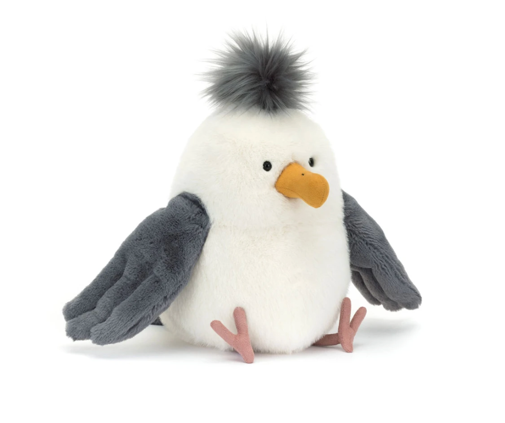 Chip Seagull