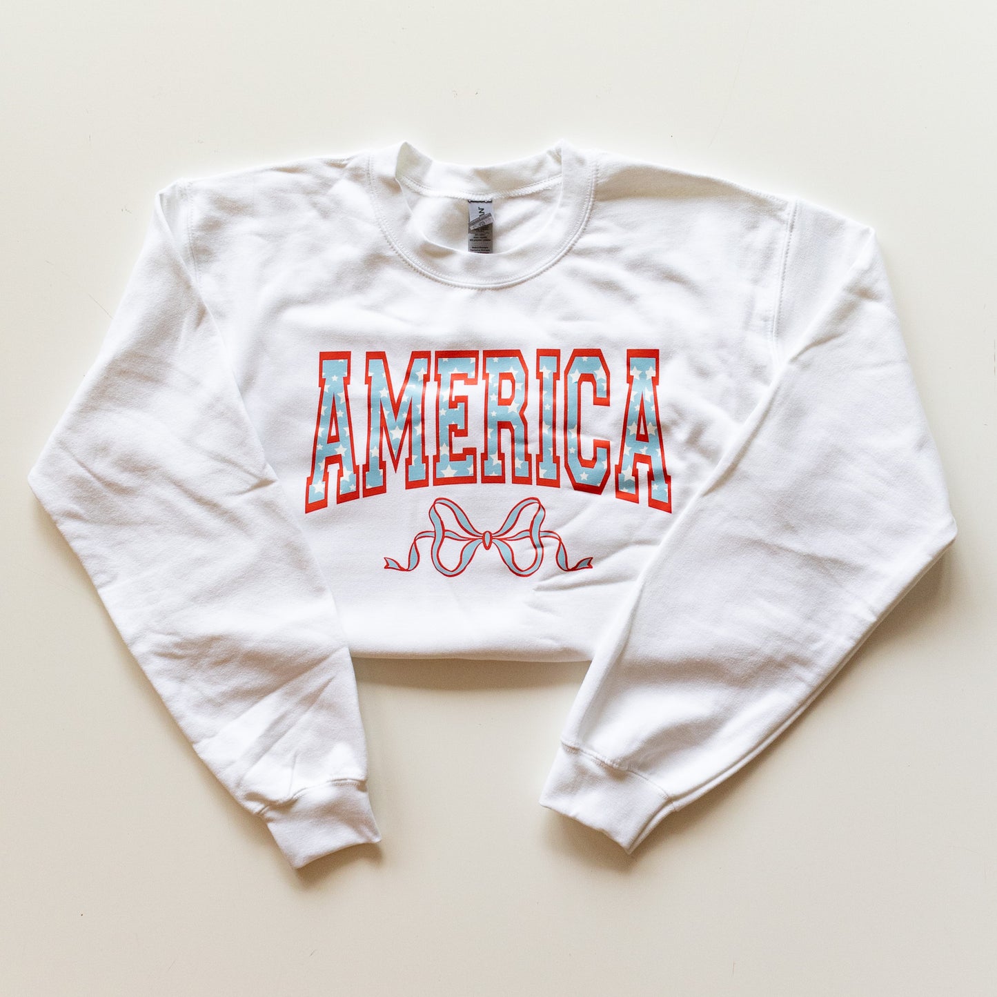 America Adult Sweatshirt