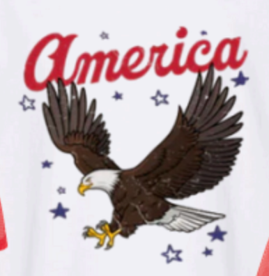 WHITE AMERICA WITH EAGLE HAT