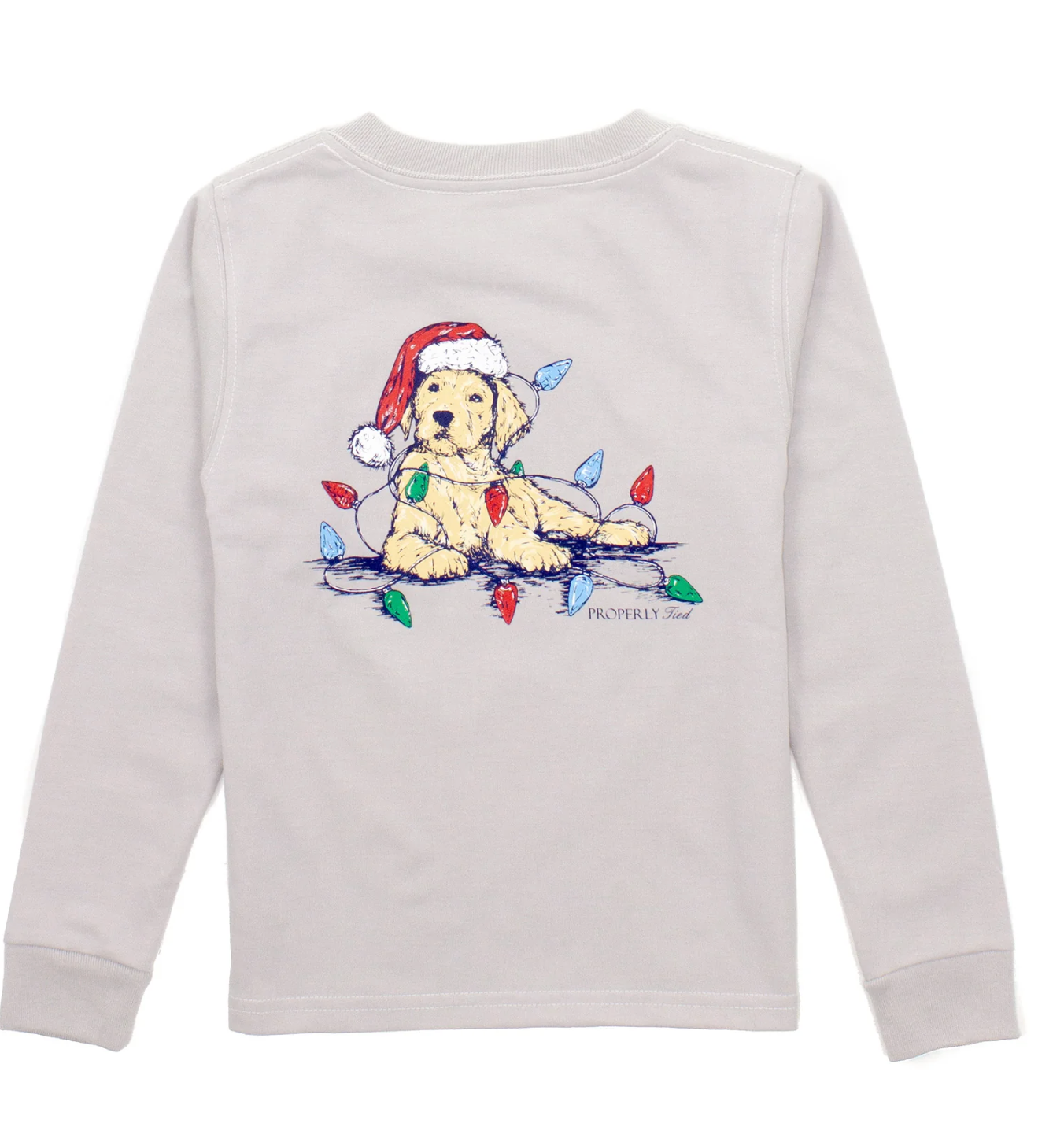 Boys Santa Paws LS Ice Grey