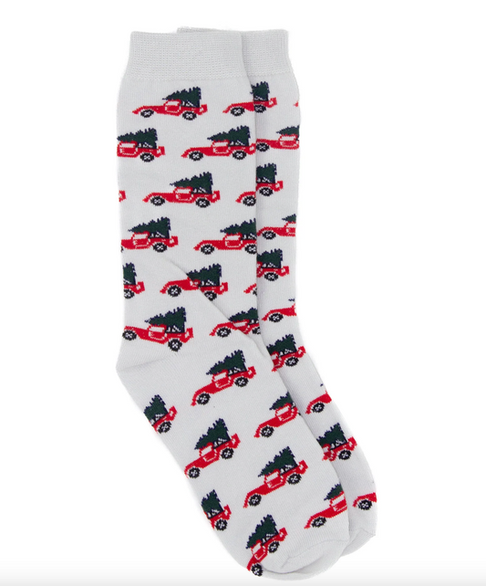 Boys Lucky Duck Sock Christmas Truck