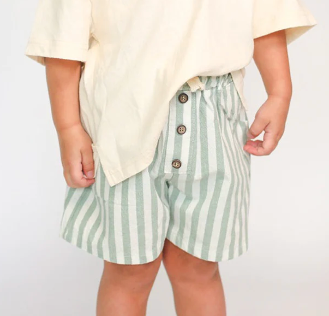 Blue Emerson Striped Shorts