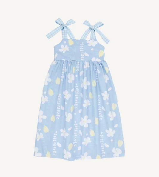 Water Street Wisteria with Buckhead Blue Gingham Macie Midi Dress