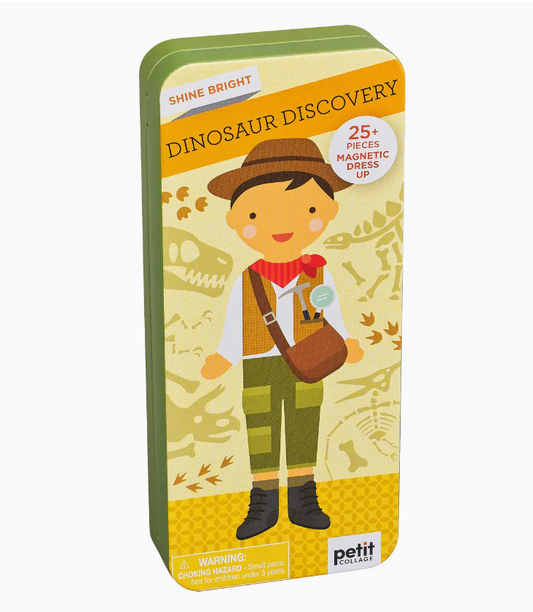 Dinosaur Discovery Shine Bright Magnetic Play Set