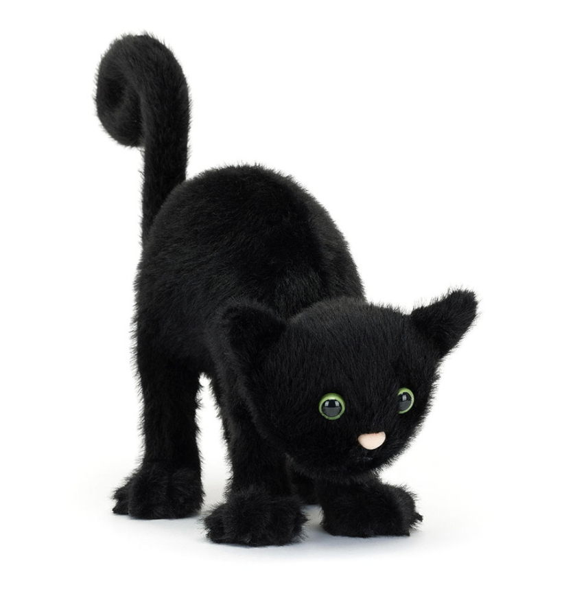 Spookipaws Cat
