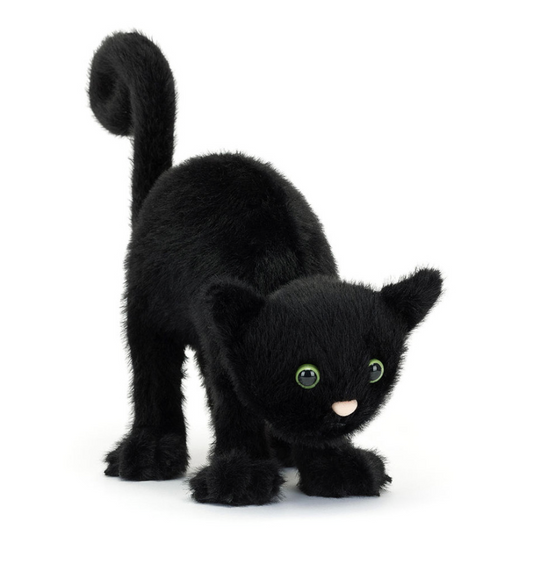 Spookipaws Cat