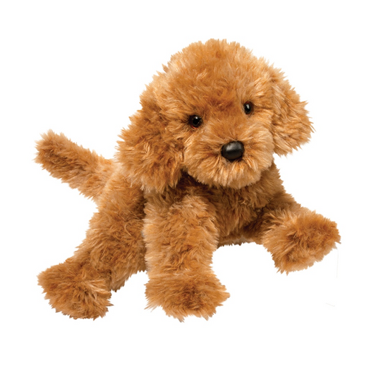 Caramel Labradoodle