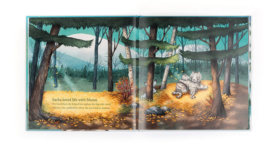 Sacha and the Most Wonderful Thing Book