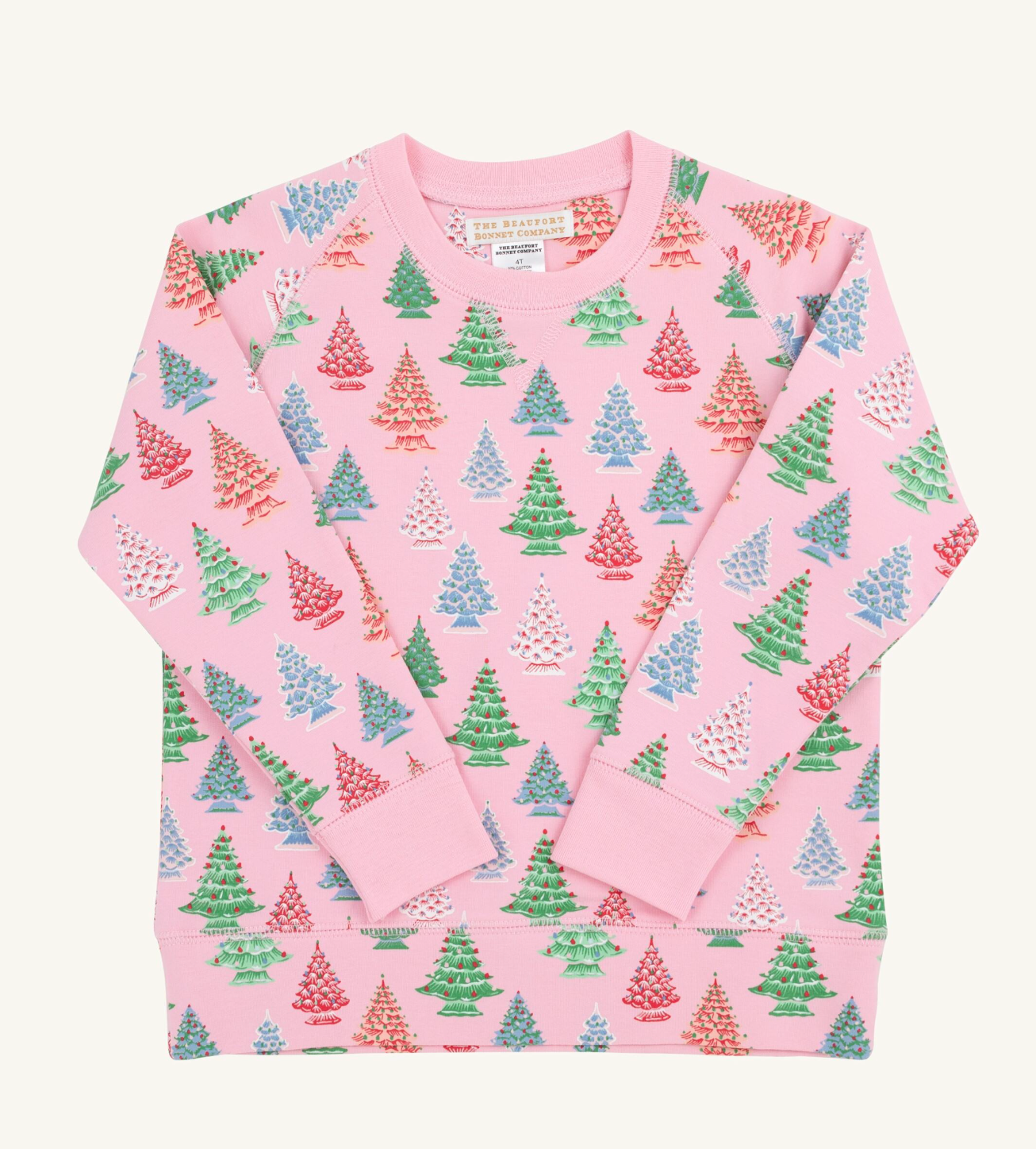 Need a Little Nostalgia Cassidy Comfy Crewneck