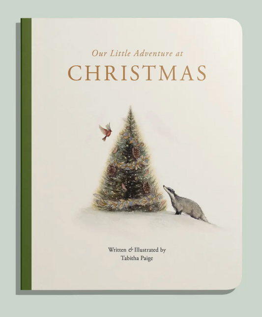 Our Little Adventure At Christmas