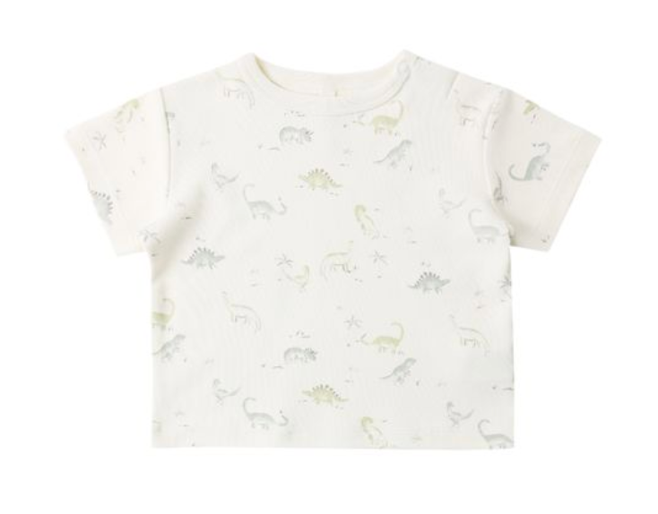 Boxy Tee || Dinosaur