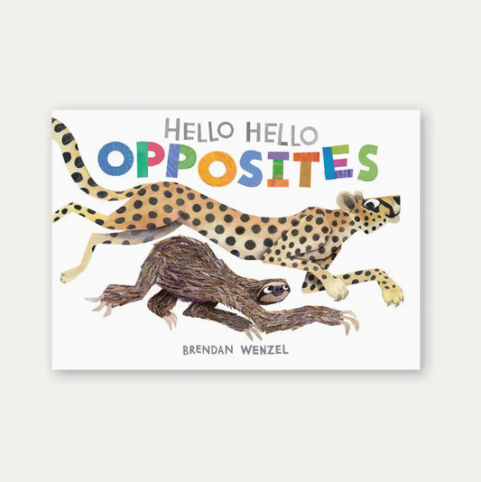 Hello Hello Opposites