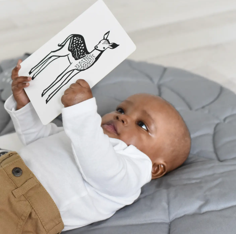 Art Cards For Baby - Baby Animals